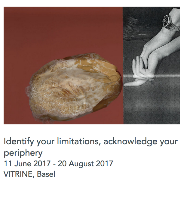Identify your limitations acknowledge your periphery vitrine basel group show katherina heil